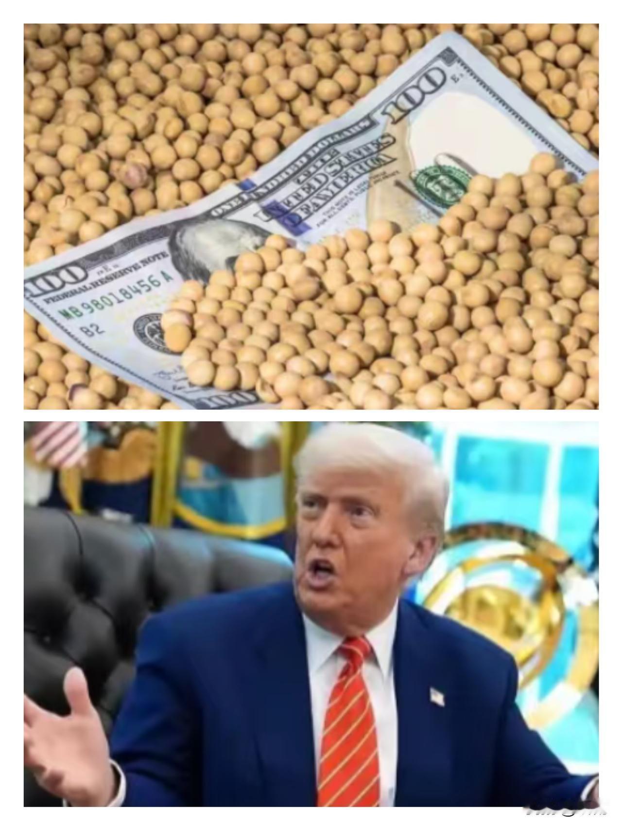 中国刚敲定2213万吨美国大豆订单（120亿美元），美方转头就把301调查的大棒