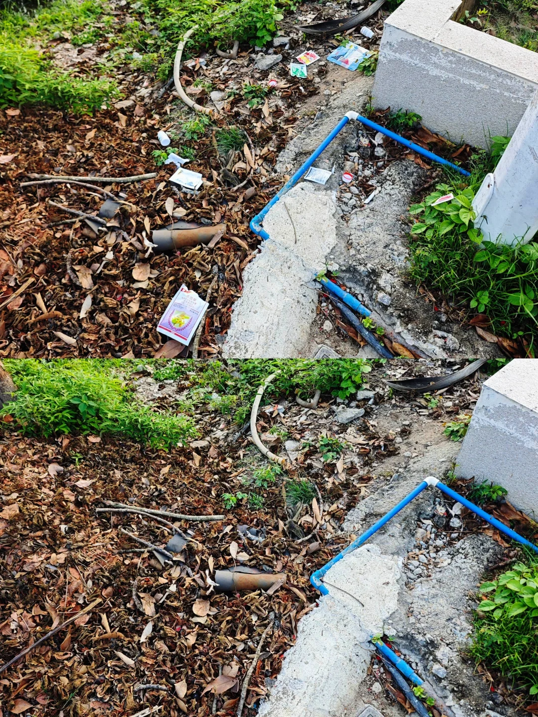 第11次捡垃圾！！！