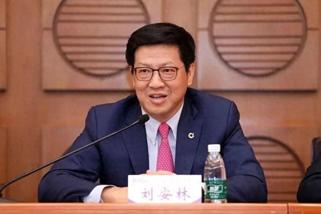 刘安林, 落实党中央重大决策部署不力, 严重破坏所在单位政治生态