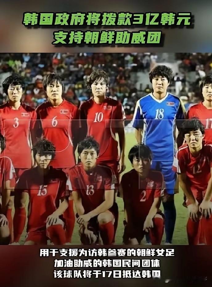 韩国：老李会做人！5月12日韩国政府决定，划拨3亿韩元，用于为访韩参赛的朝