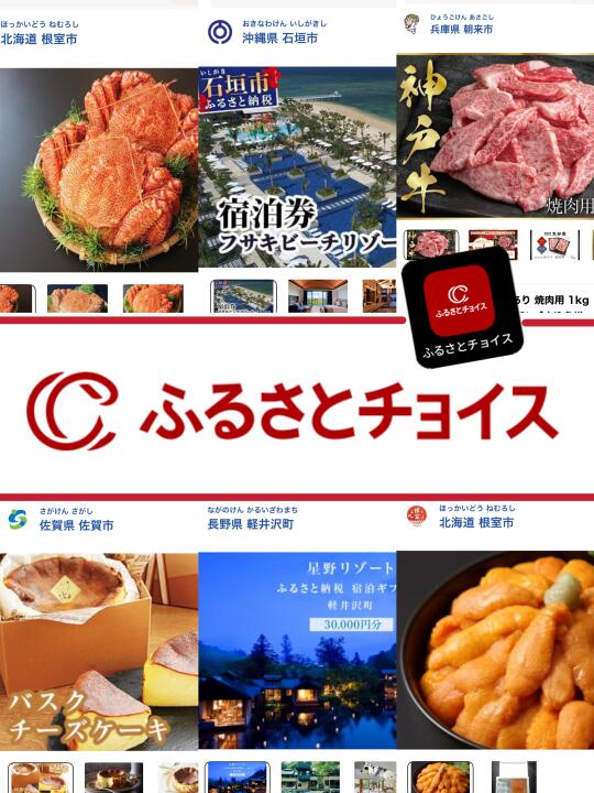 2025ふるさと納税攻略🇯🇵值得年年回购‼️