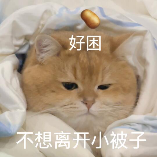 🥔表情包 ｜好困 猫猫头