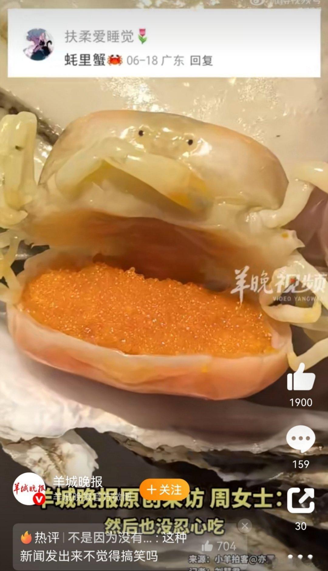 女生撬开生蚝发现小螃蟹豆蟹：人!你蒸了还不吃!厚礼蟹![哆啦A