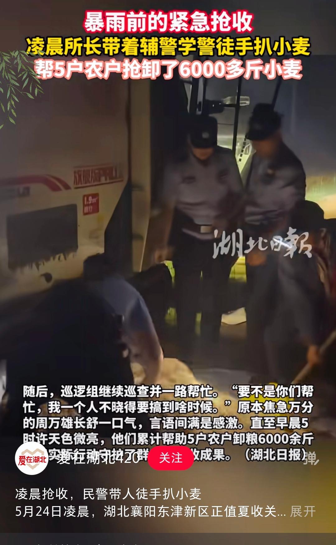 凌晨一点，泥地里几个灰头土脸的警察，这画面看着确实挺荒诞。要是没看懂背景，准