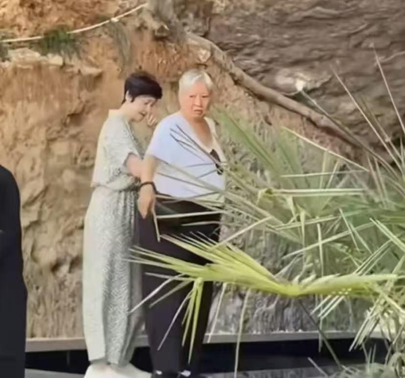 洪金宝现身湖北恩施度假！体型太胖状态令人担忧呀，反观妻子高丽虹依然容貌惊人！