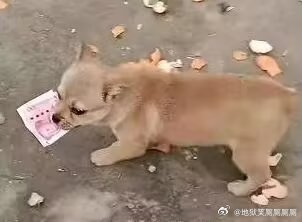 1818“哈哈，此等宝物，你怎懂得使用之法，倒不如交由老夫我，你还可换得半根淀粉