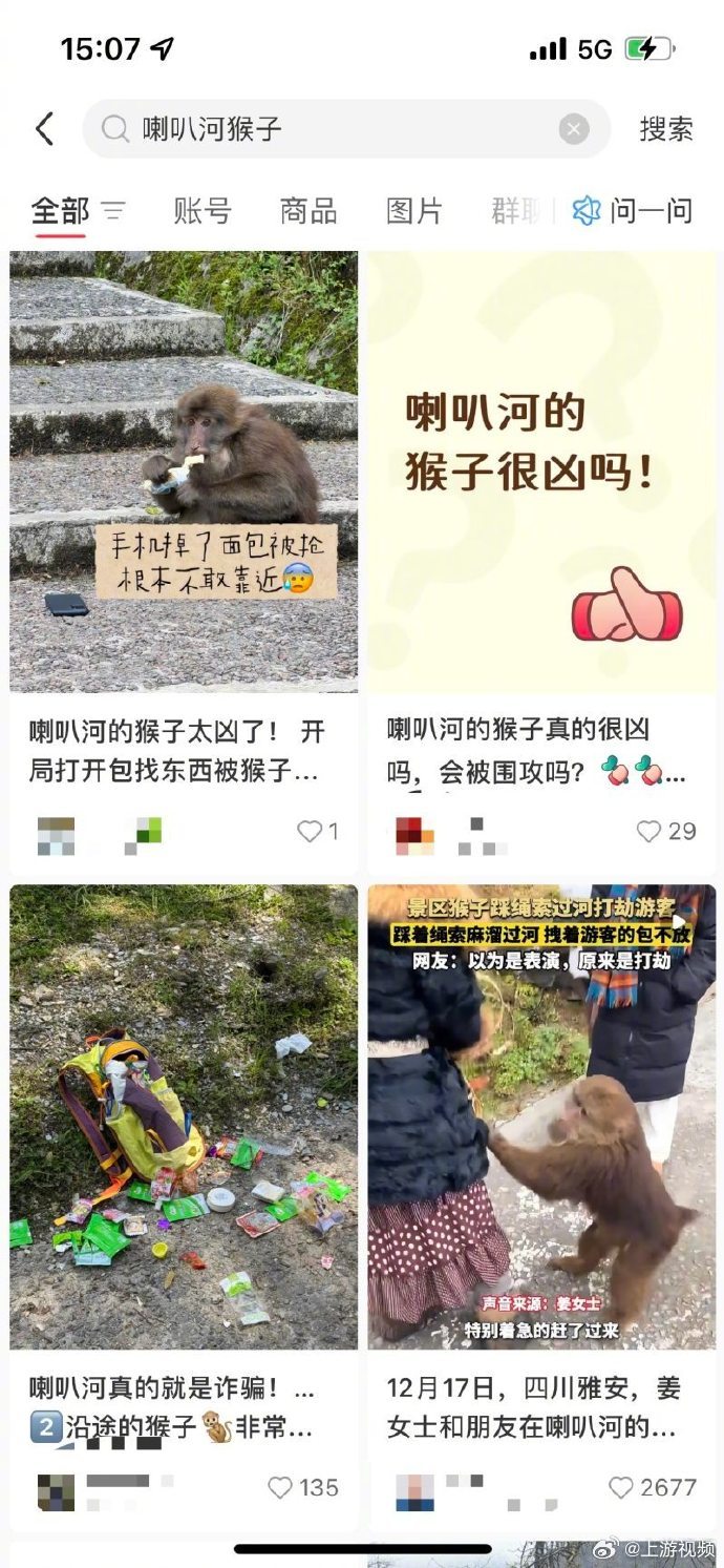 【#被野猴围攻抓咬近20分钟女子发声#】#女子景区被野猴抓咬20分钟多处受伤#6