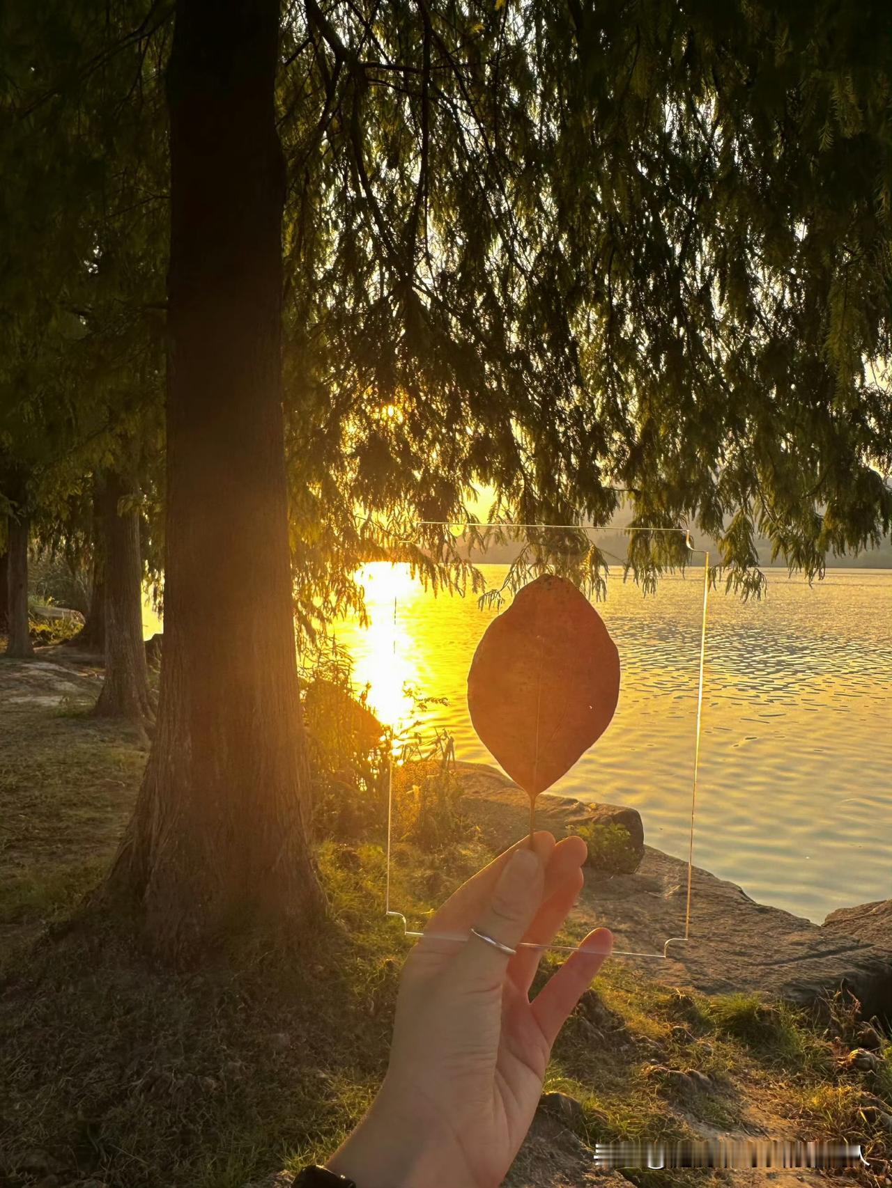 真不能睡一个被窝我和老公都五十多岁了，现在天气冷了，我们睡在一个被窝里面，这几