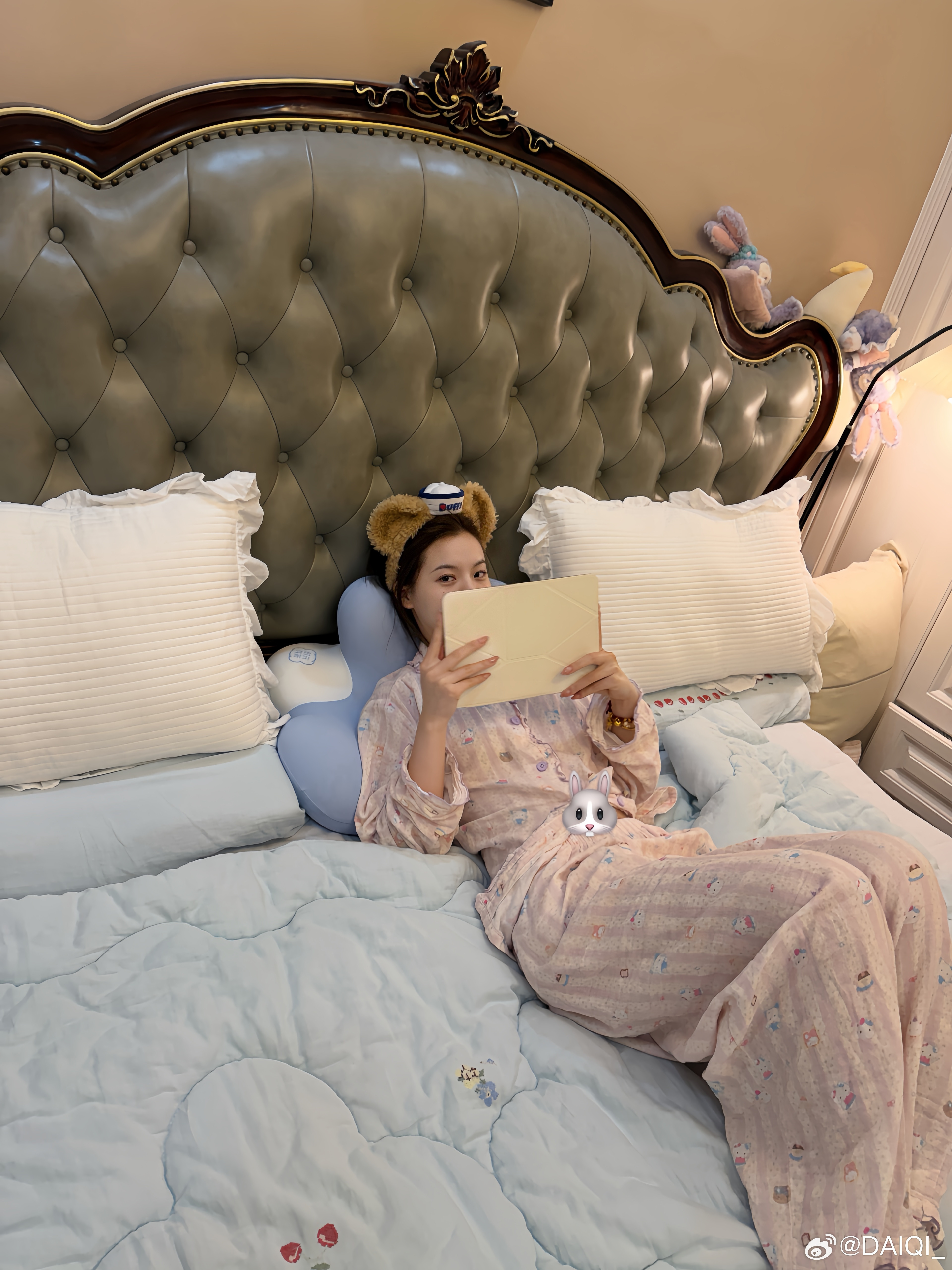 枕头大户又来新枕头哇塞别太舒服最近看逐玉上瘾躺着看靠着看坐着看都很舒服！！