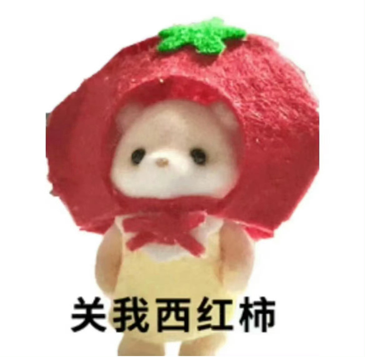 女生培养自己思想独立的一些tips​​​