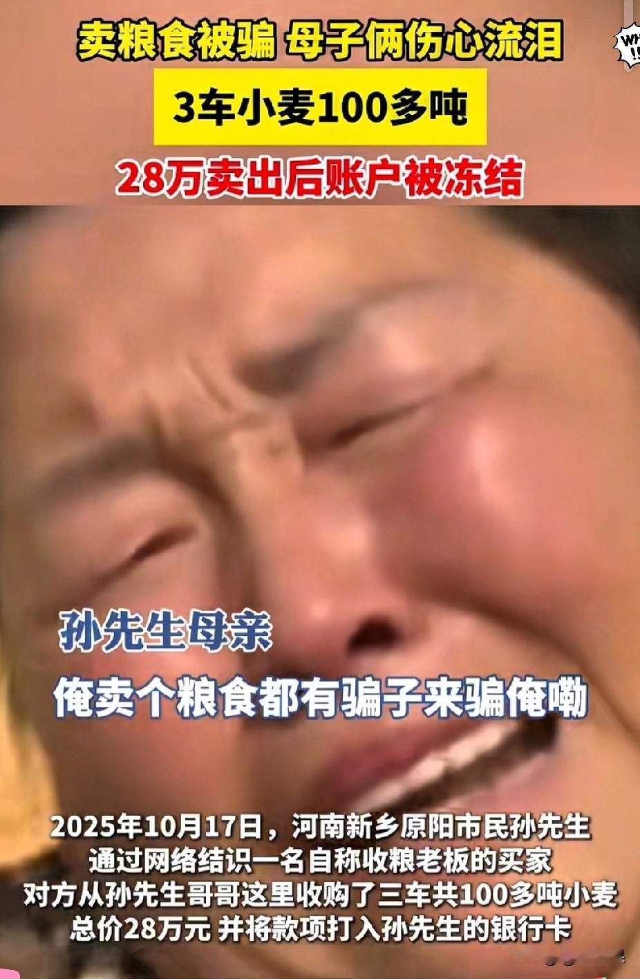 河南这对母子也太惨了!卖了三车小麦,足足100多吨,到手28万本来挺高兴,结果没