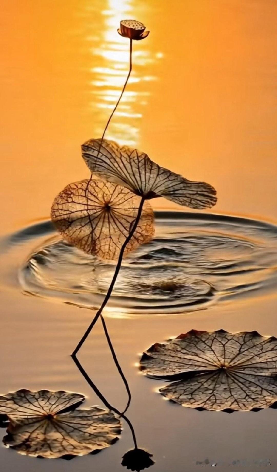 近十年行情年末和年初行情看，不是12月挖坑就是1月挖坑，这两个月肯定有一个月是大