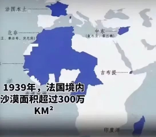 倒是也没错
