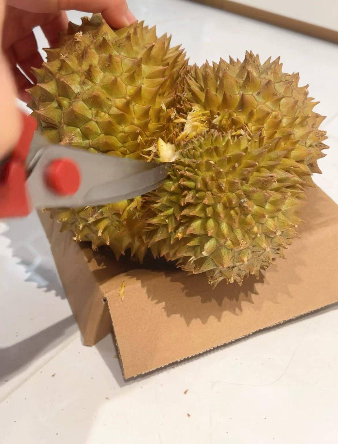 下午去拿快递经过小区门口的水果摊，老板摆着一排封好的纸箱，说五十块钱就能开一个榴