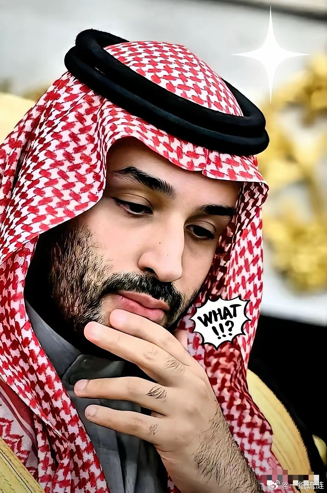 沙特这回是真把桌子给掀了。25艘超大油轮，满载5000万桶原油，完全不理会霍尔木