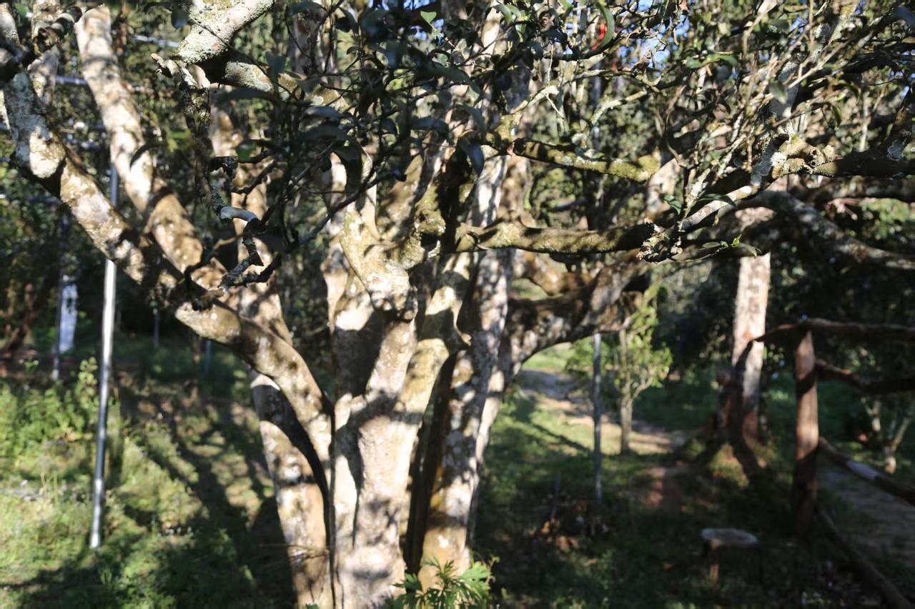 低谷期是一种宝贵的学习机会。一个人只有在低谷期，才会有谦卑的心态去接受外界的信息