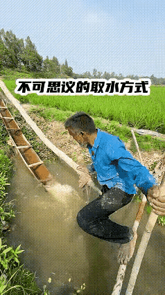 老百姓的智慧是无穷的