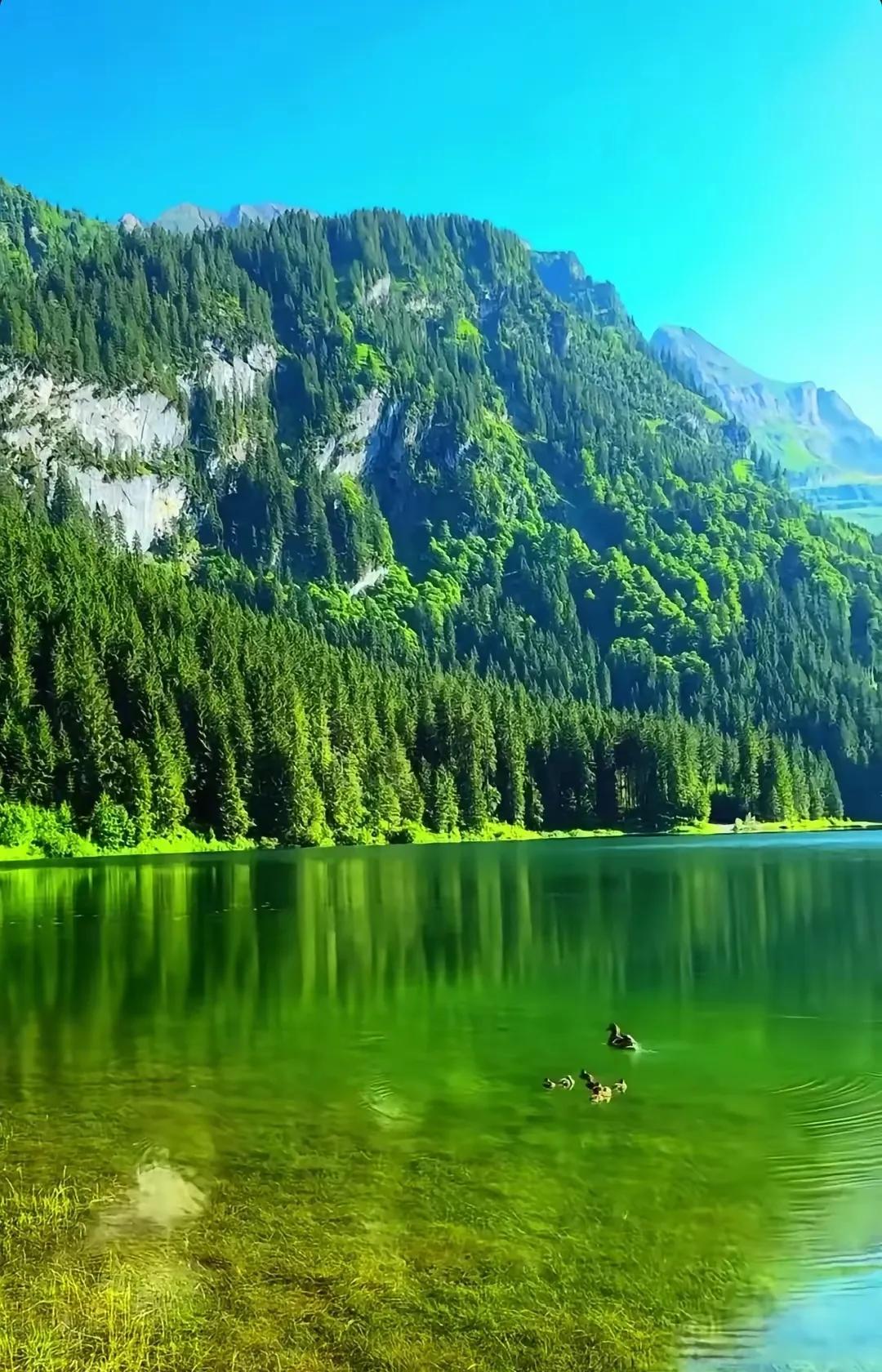 一句很经典的话：“如果你想让一个人迅速返贫，就劝他去旅游，那个钱花的像流水似的