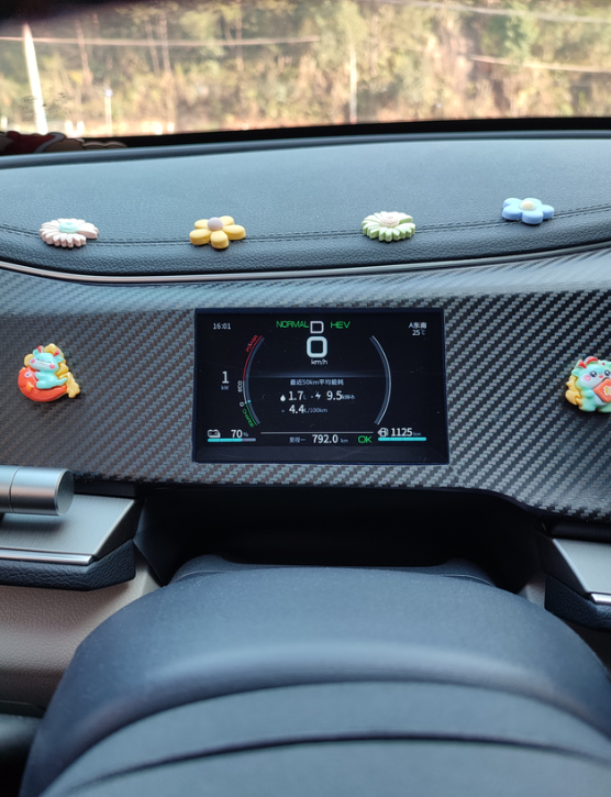 秦PLUSDM高速一箱油800公里周二出发，周四返程，单程差不多800公里全