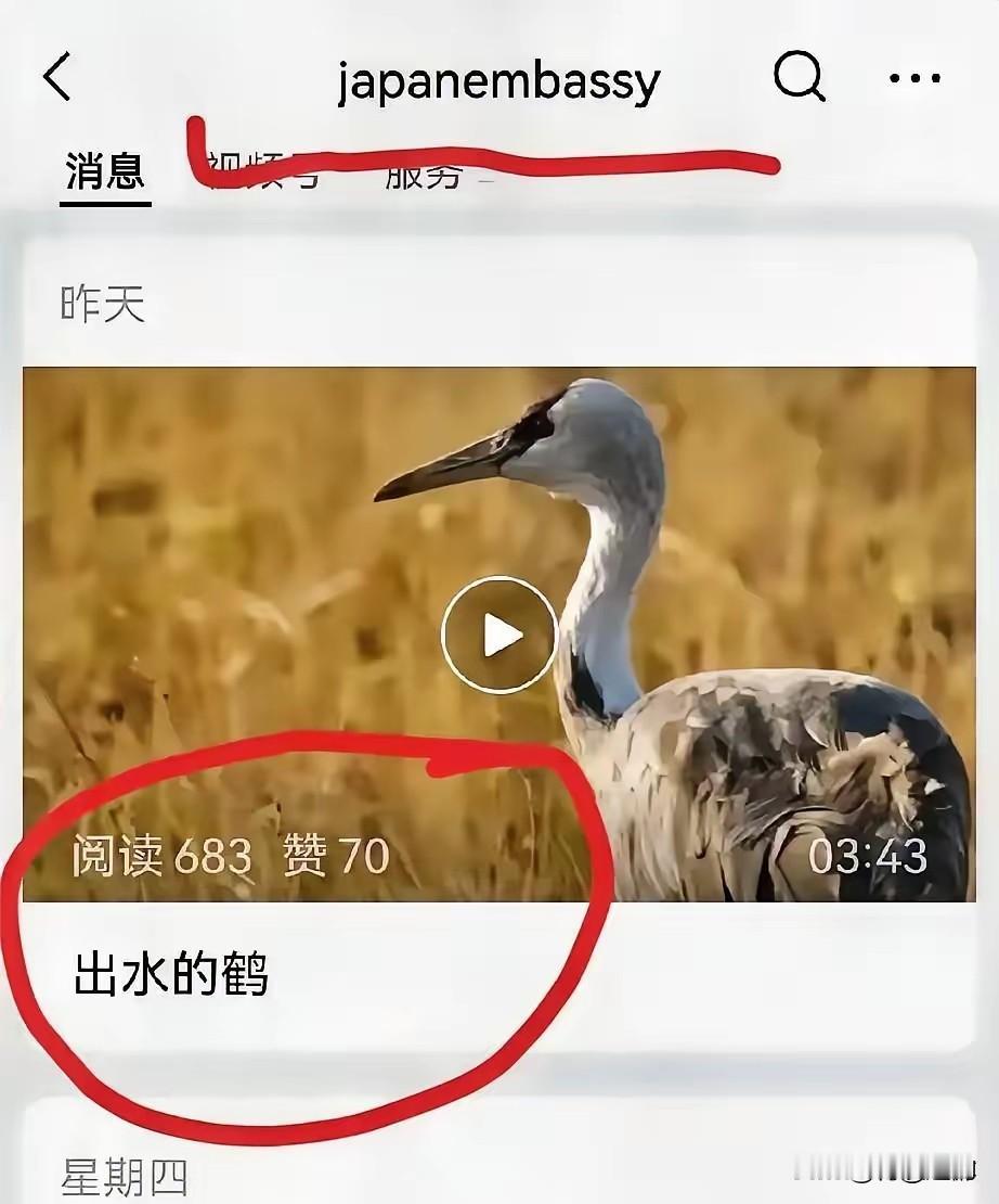 南京大屠杀公祭日之际，日本驻中国大使馆公众号竟然使用“出水的鹤（でっすいのつる）