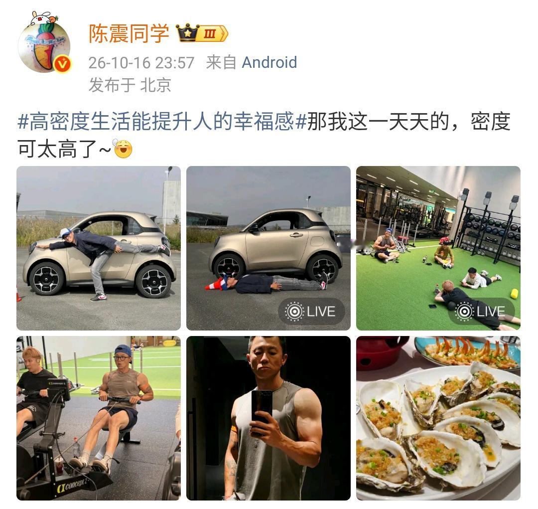 陈震：高密度生活能提升人的幸福感那我这一天天的，密度可太高了~