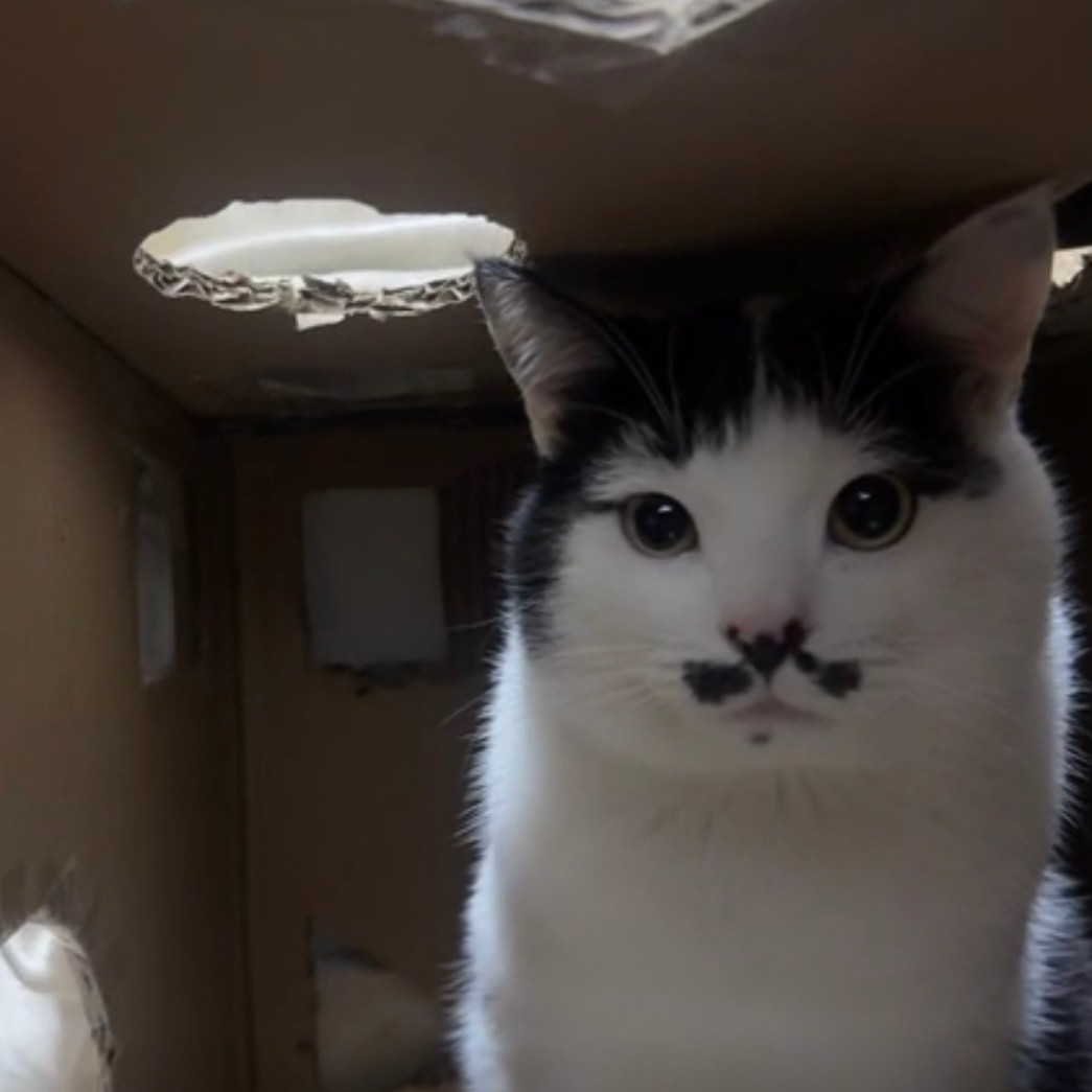 让让..我停两台新车：