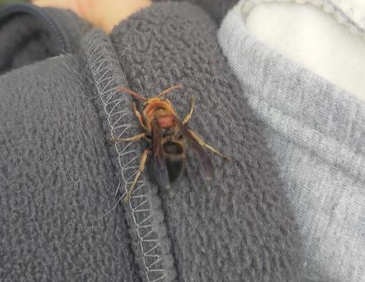 百市民献血接力：这就是人间温暖的样子10月26日，重庆的谭女士为保护儿子，