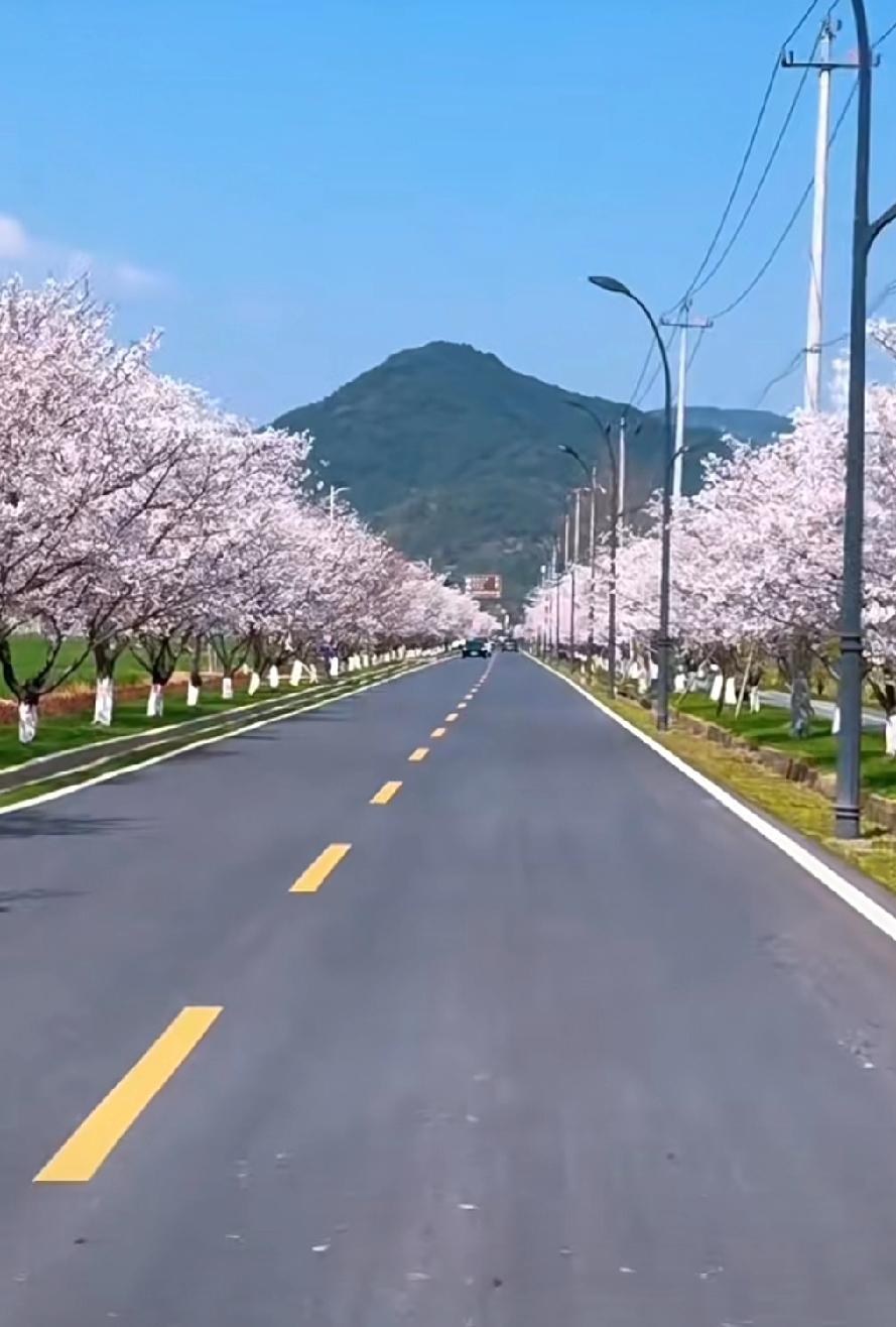 跑步，不要有任何目的性，想跑就跑，不想跑完全可以歇着。这样的心理状态和操作才是正