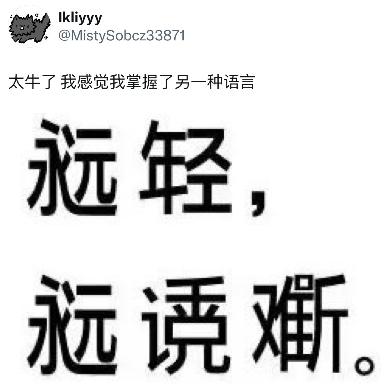 我感觉我掌握了另一种语言