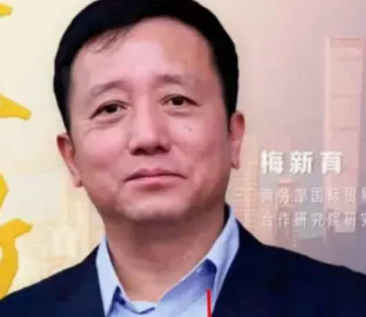他是武汉大学的骄傲，是中国人的脊梁！义正言辞：“希望母校尽快给予杨景媛最严厉处分