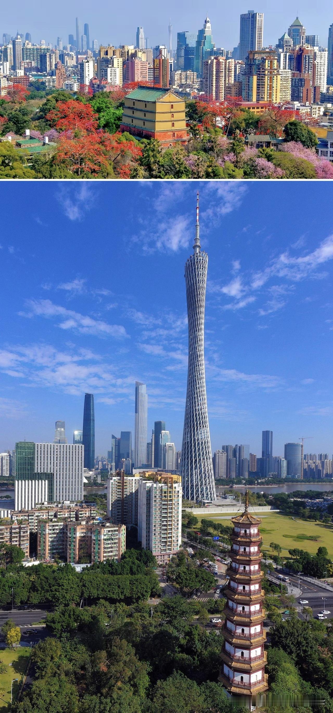广州和深圳的高楼都很多，珠江新城是全国300米以上高楼数量最多、天际线连片密集度