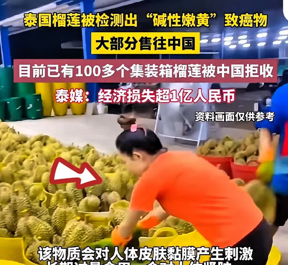 今年的泰国榴莲估计彻底凉了！一百多个集装箱啊，就因为泰国部分农民为了让榴