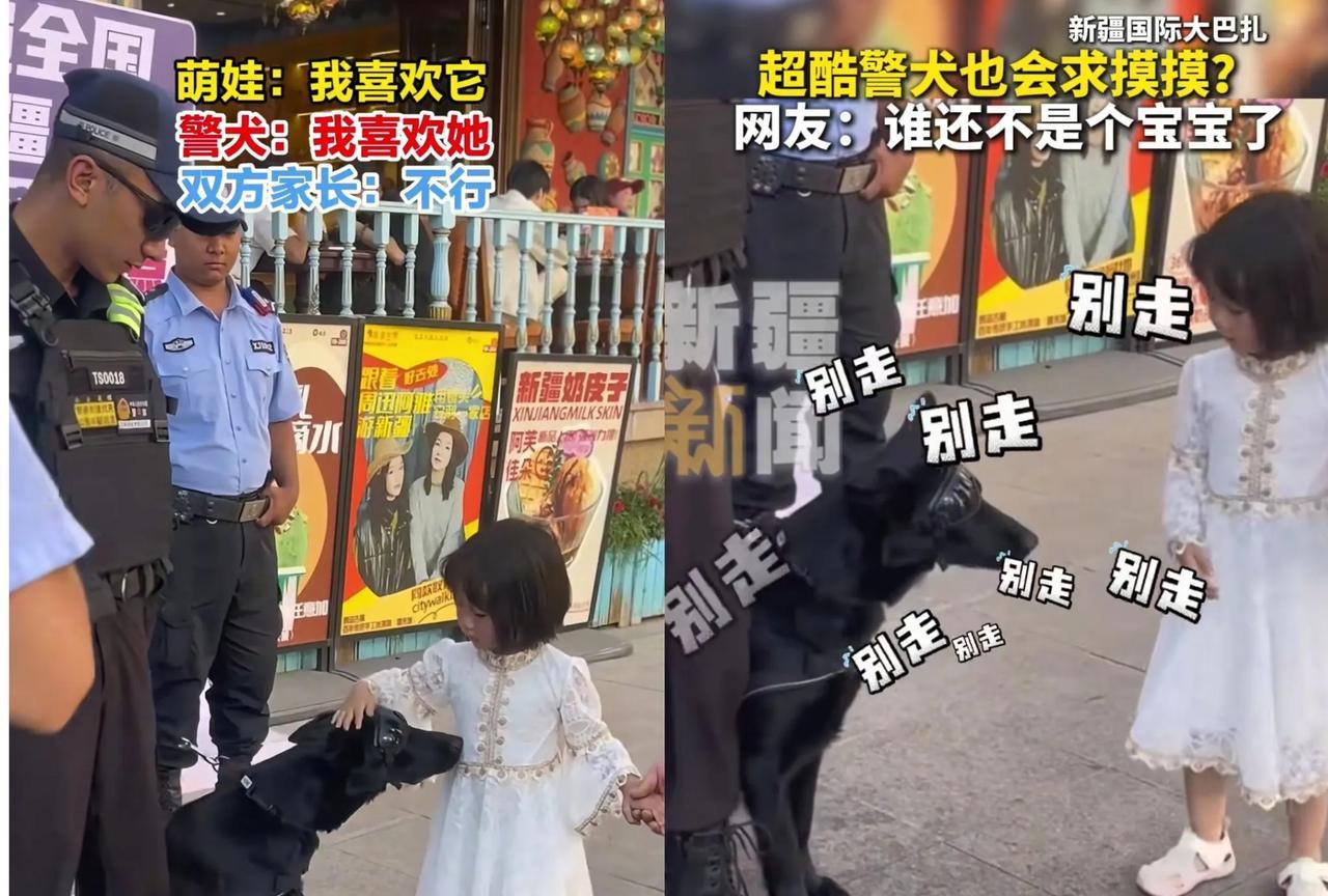 “彻底解释不清楚了”新疆，帽子叔叔带着警犬执勤，发生了超有爱一幕。一个路过的小
