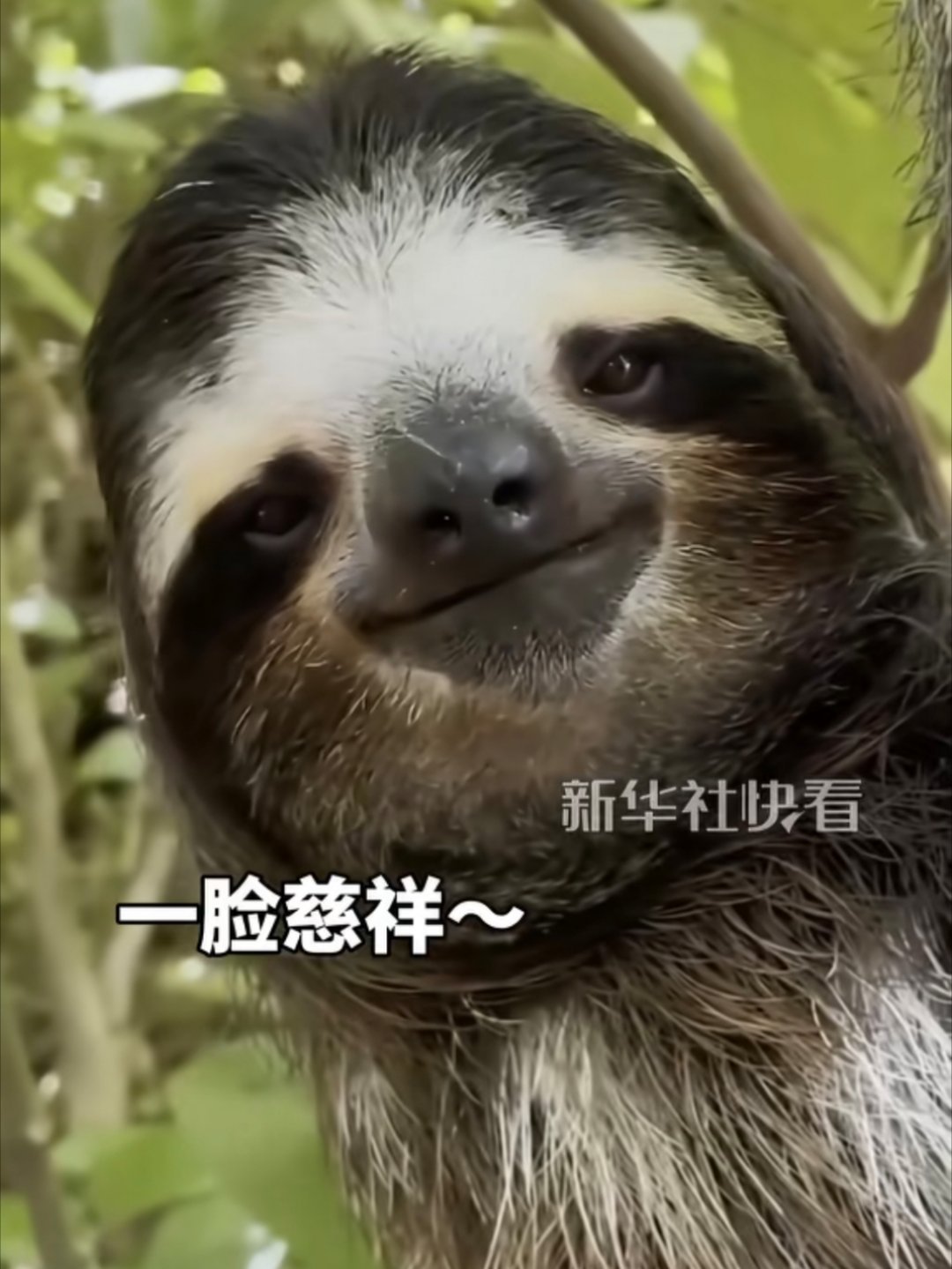 Canyoudriveusbytaxi？No～～～～Problem.