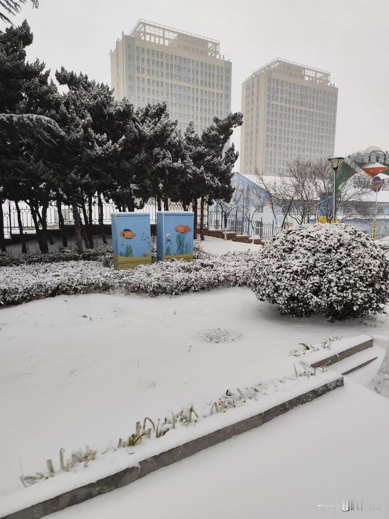 经济遇冷，有些行业却能闷声发大财。二手循环经济就是其中之一。如今大家都“精打细