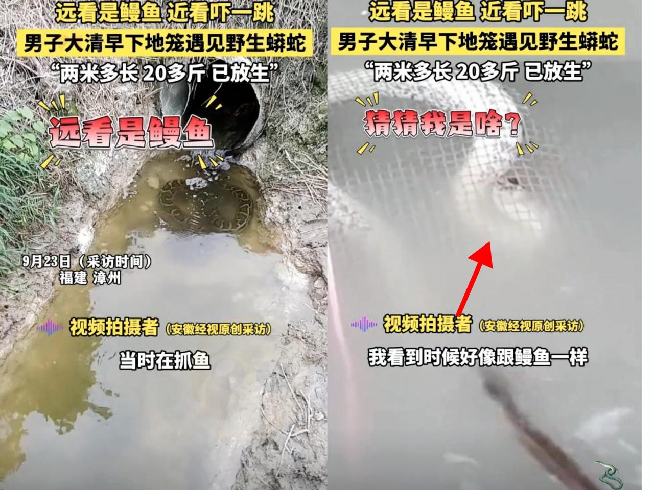 男子本想去河边收地笼里的鳗鱼，却看见了可怕一幕！福建漳州一男子一大早去河边