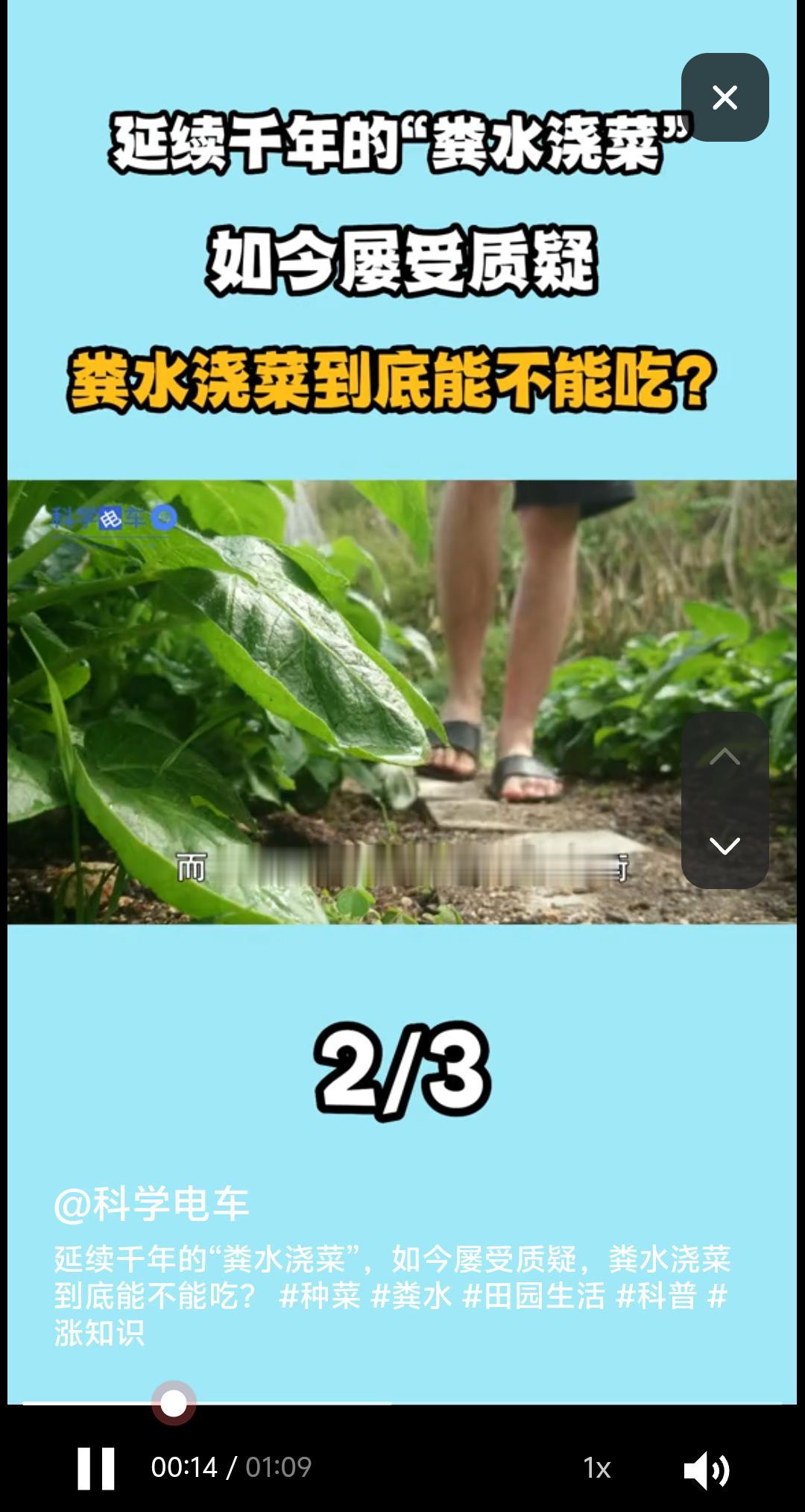 “粪水浇菜”是污染食物的源头?中科院院士曾毅认为,农村人用粪水直接浇菜,完全是千