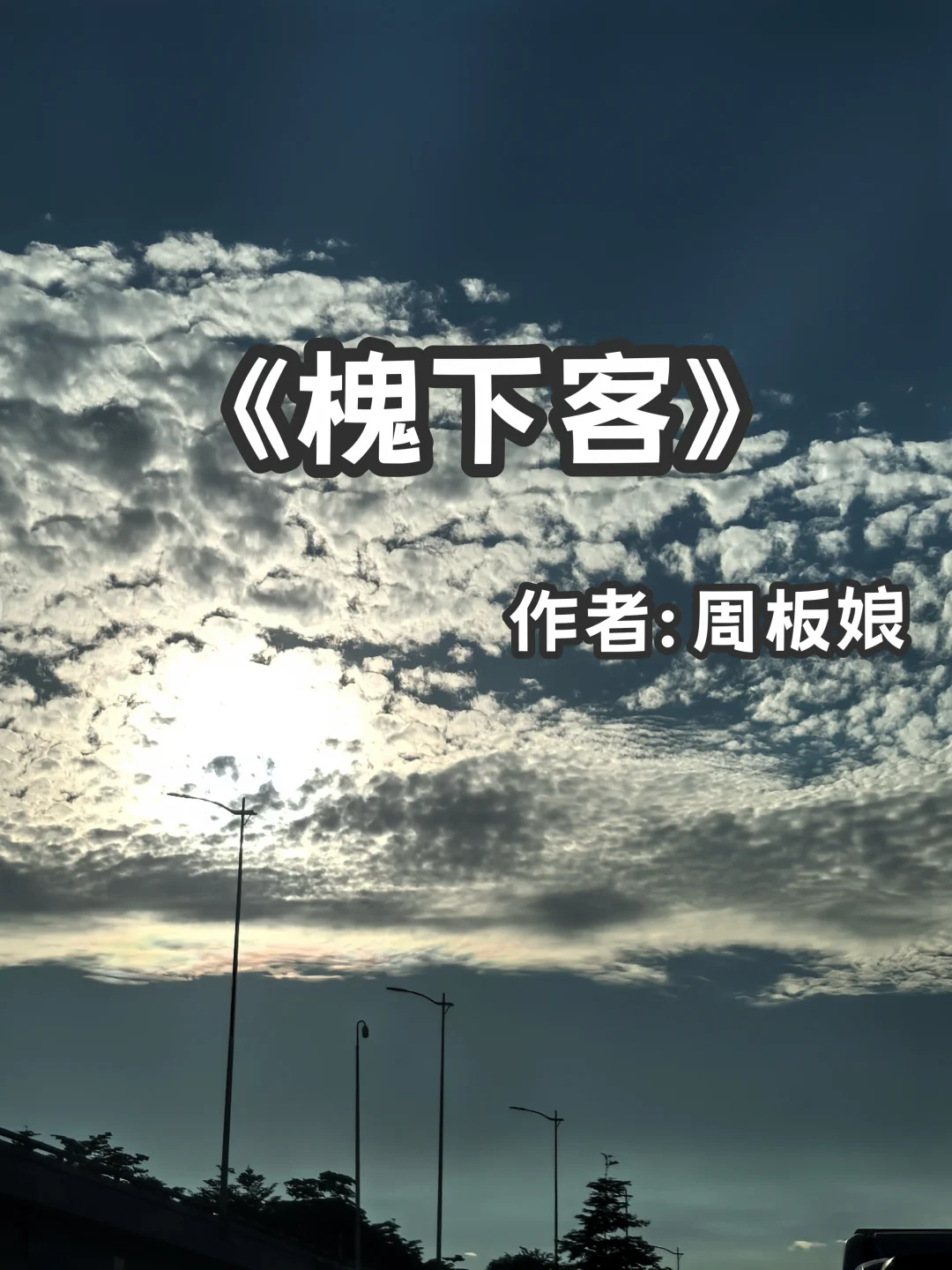 宅家小说｜灵异悬疑《槐下客》