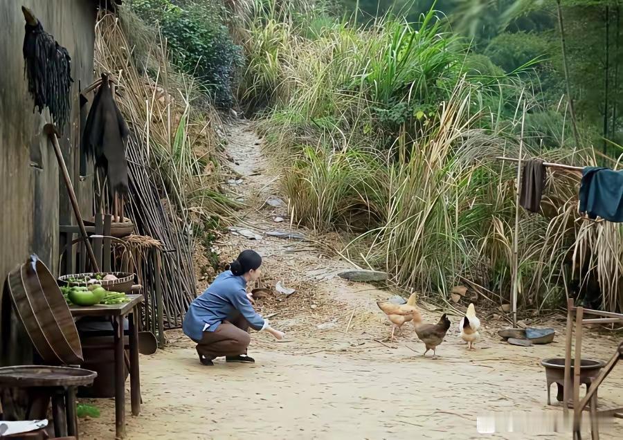 刘亦菲演的农村妇女在喂鸡，总感觉哪里不太对