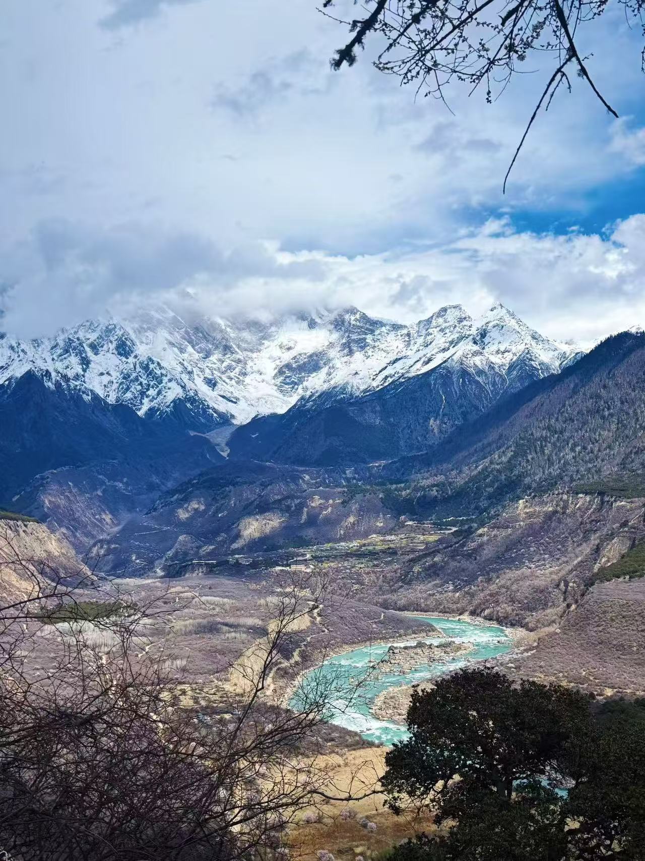 西藏旅游，林芝桃花村打卡攻略！