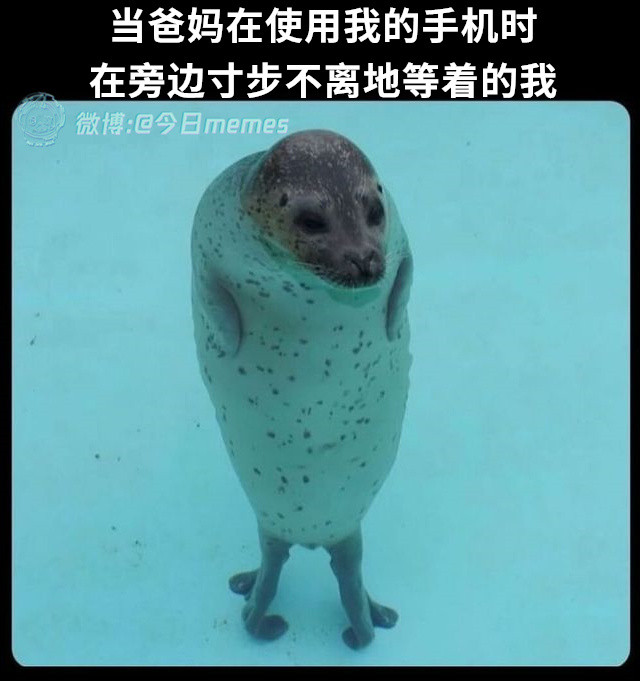 群友快发来了今日meme今日memes