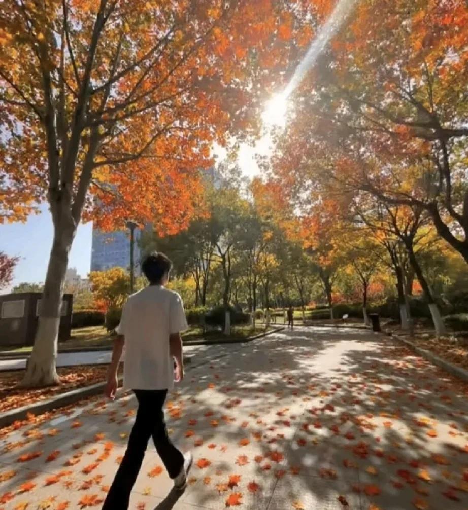 河北沧州孟村这件事让我想起了15年前的一件事。那时候我刚刚大学毕业，在一个城中