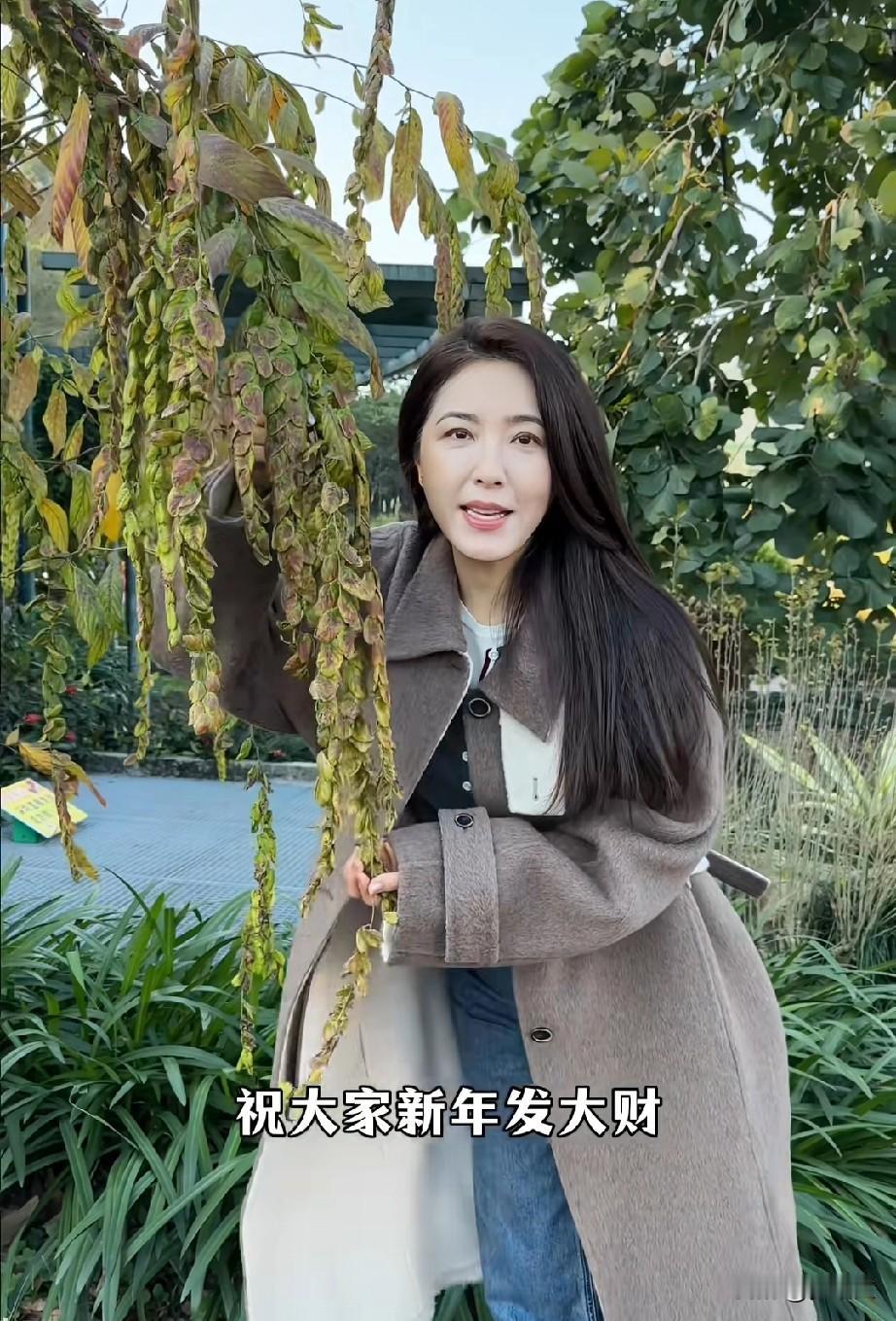 原来这就是排钱树啊，确实是一串一串的，被这个大美女曾黎发现了，看来今年又要顺顺顺