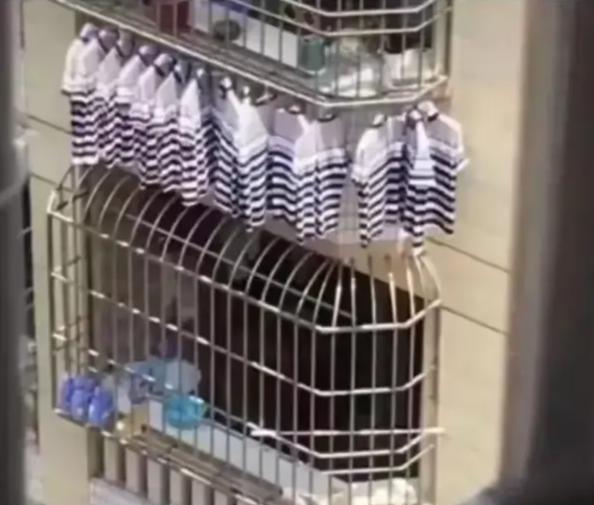 同样的衣服，买15件，这样的男人一般都是干啥工作的？