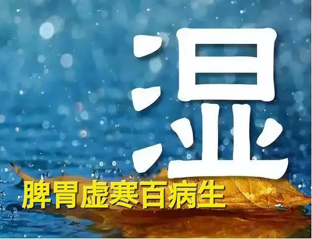 湿气要排出，从最短的路最省劲湿气要排出也得挑最省力的出口：湿气在“一楼”（腿脚/