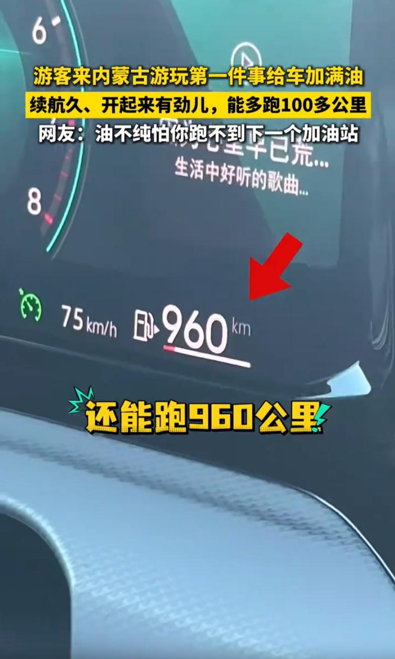 不愧是内蒙古特产！一位四川游客到内蒙古旅游，到了地方后第一件事不是打卡拍照，而是