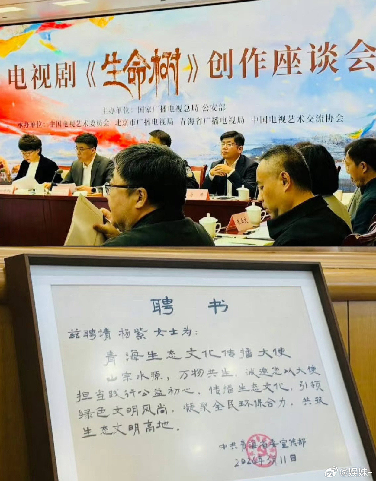 生命树的含金量我不多说，杨紫的实力我不多说