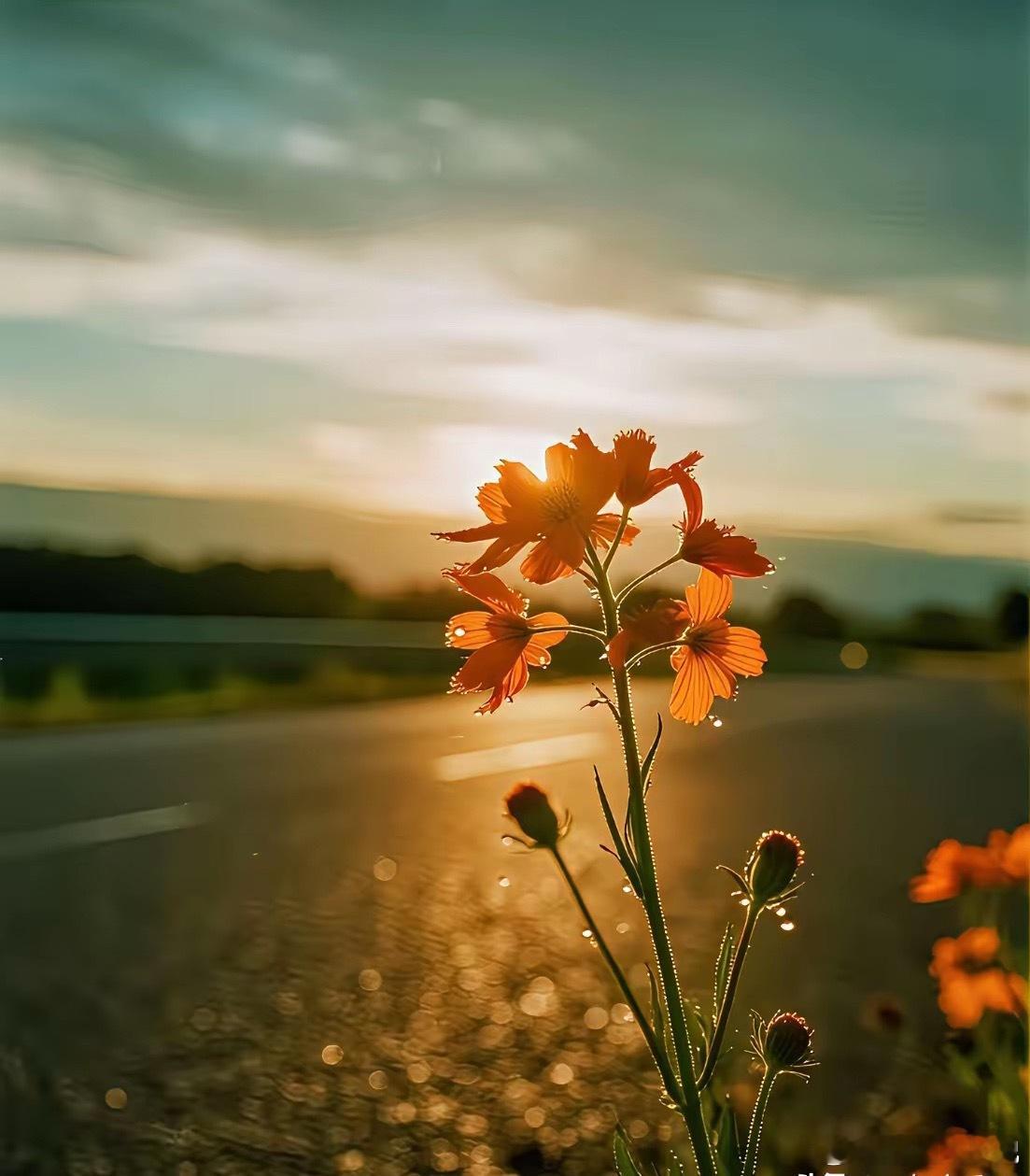 奇怪的操作！表弟的炒股方法，真是令我诧异！他一个原则，那个跌，买那个！别人都是追