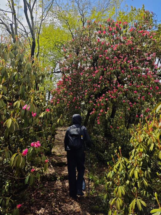 周末别去‘龙池’人挤人了👍推荐个小众地