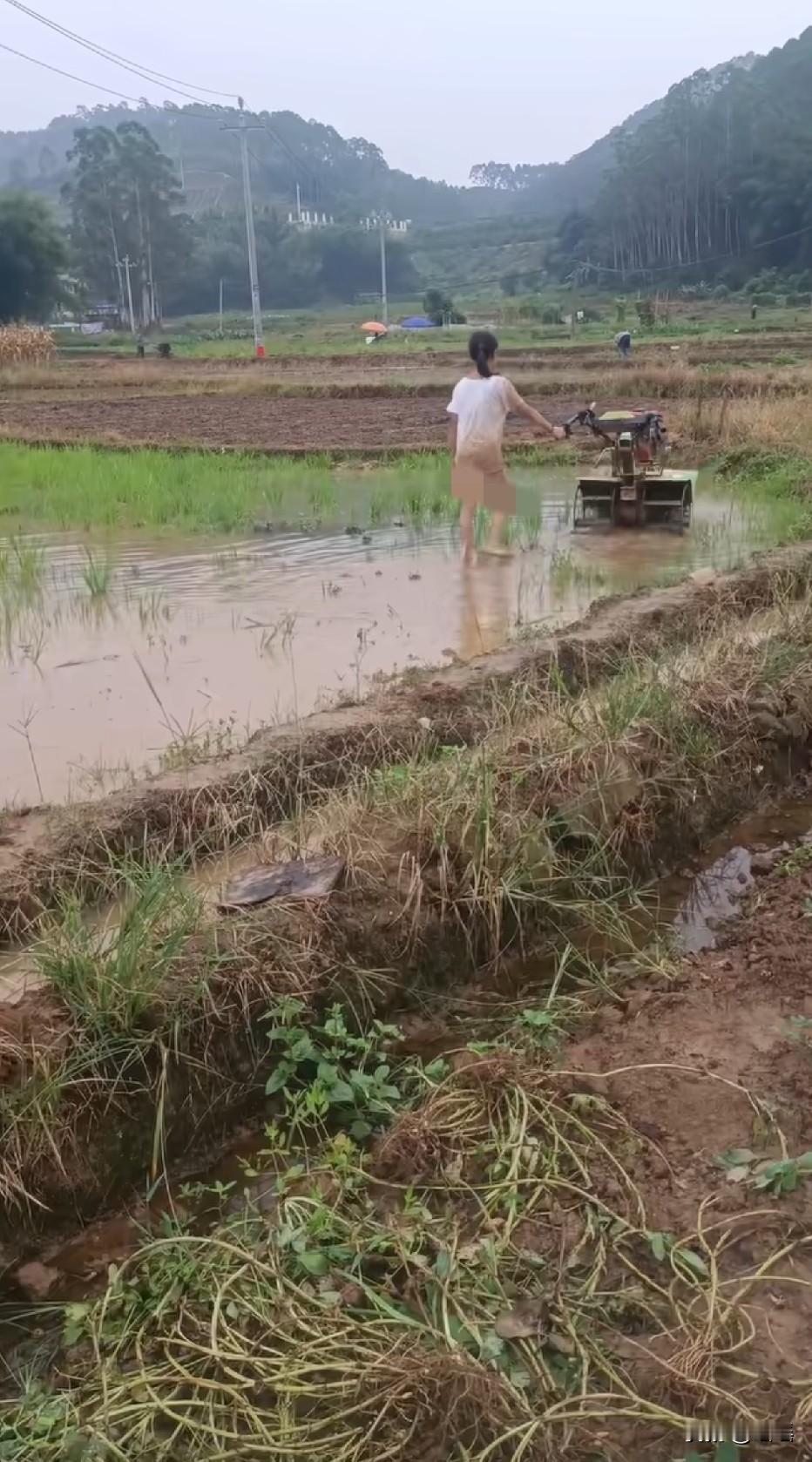 小小年纪就上农业大学了
